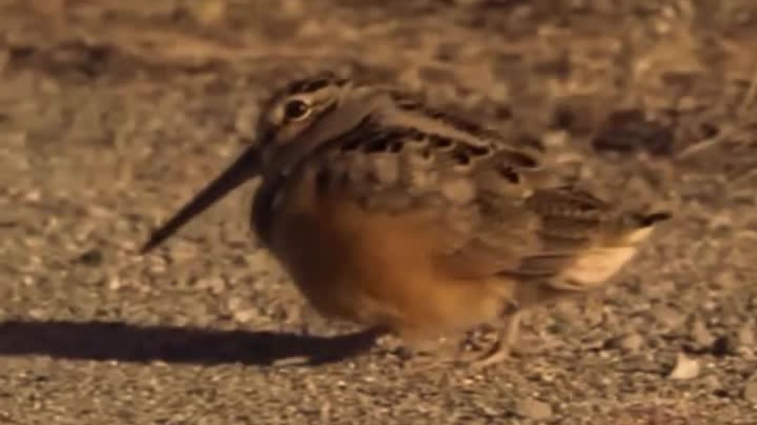 ⁣चल भाई गाना सुनते हैं #😍😂