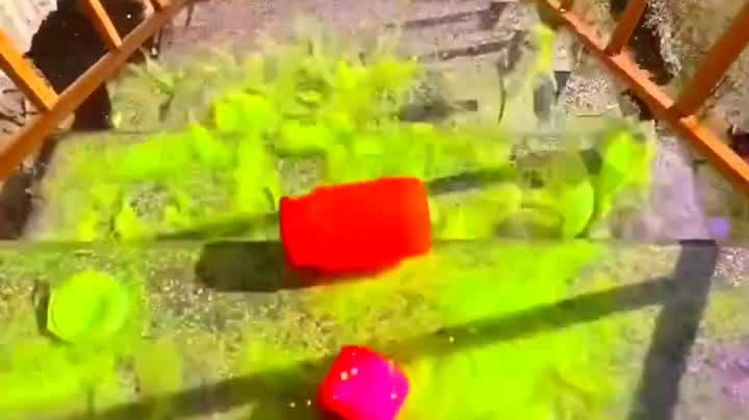 ⁣Best botal cutting 🥛