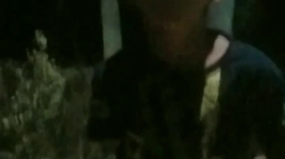 ⁣Kya dance hai re teri🤣🤣👍🇮🇳