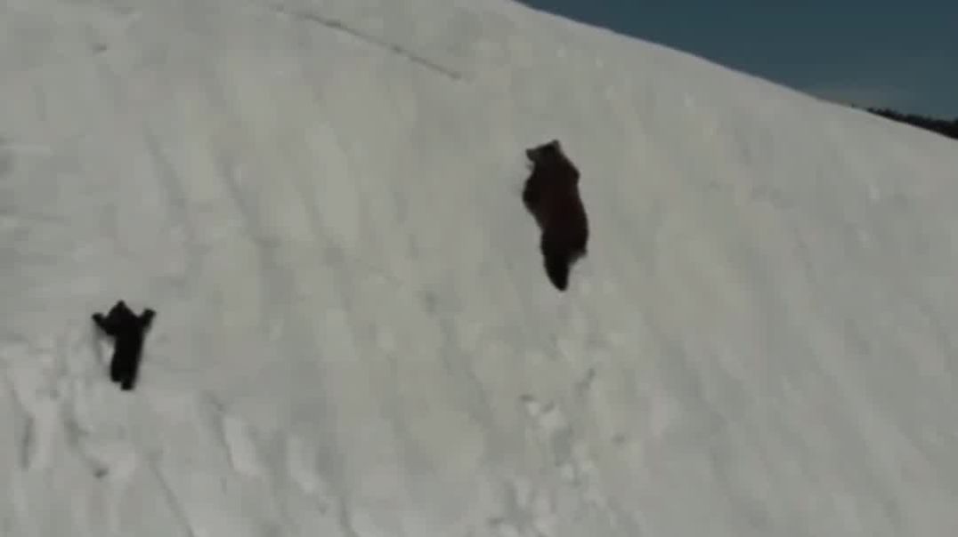 ⁣What it actually feels like to be an entrepreneur#motivation #successmind #wealthmindset