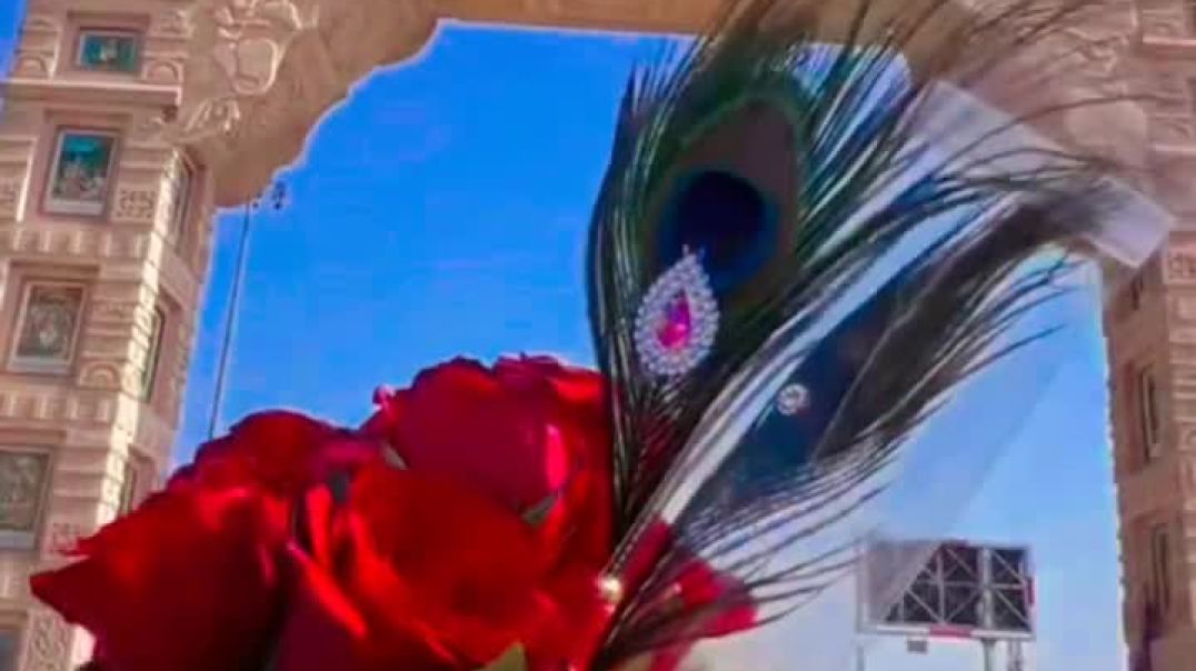 ⁣Khatusyam baba 🙏