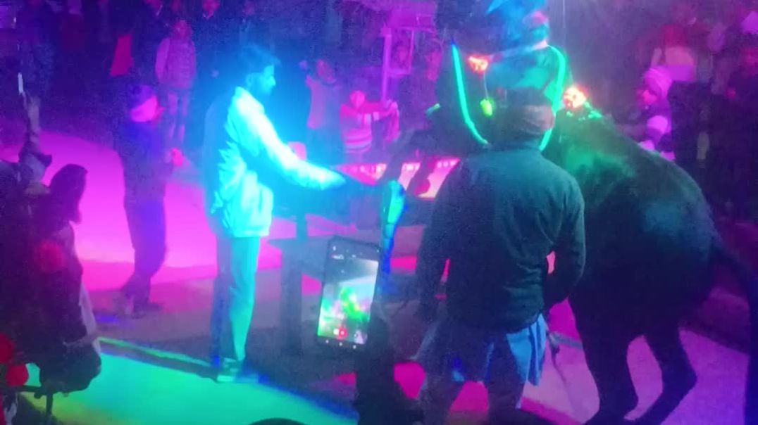 video_20251206_182153