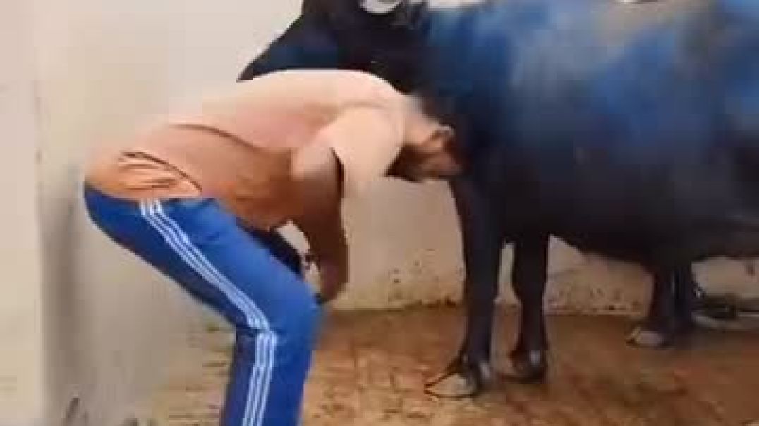 ⁣#reels #virlvideo #instagram