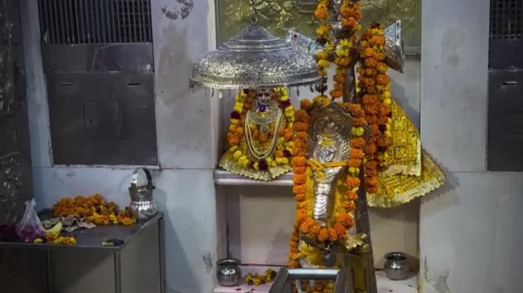 VID_20251109_182543_919