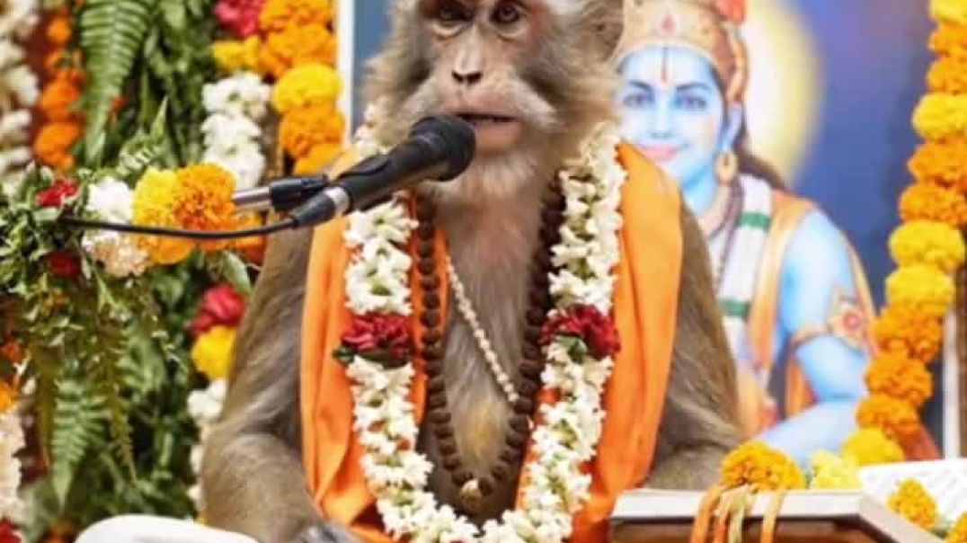 VID_20251231_220155_133