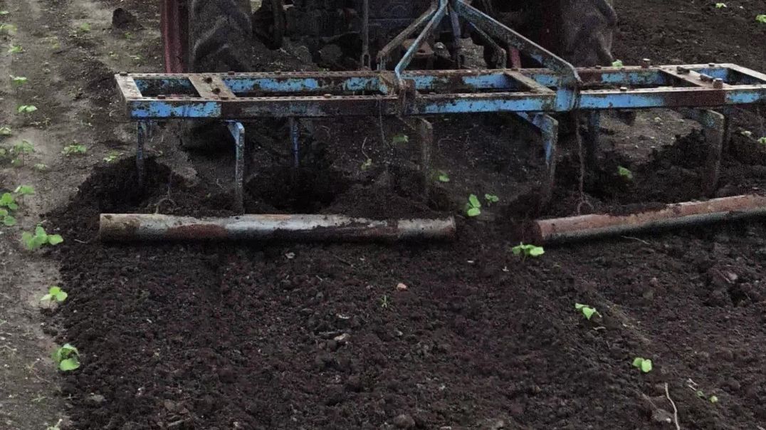 ⁣Jordar tractor na driver