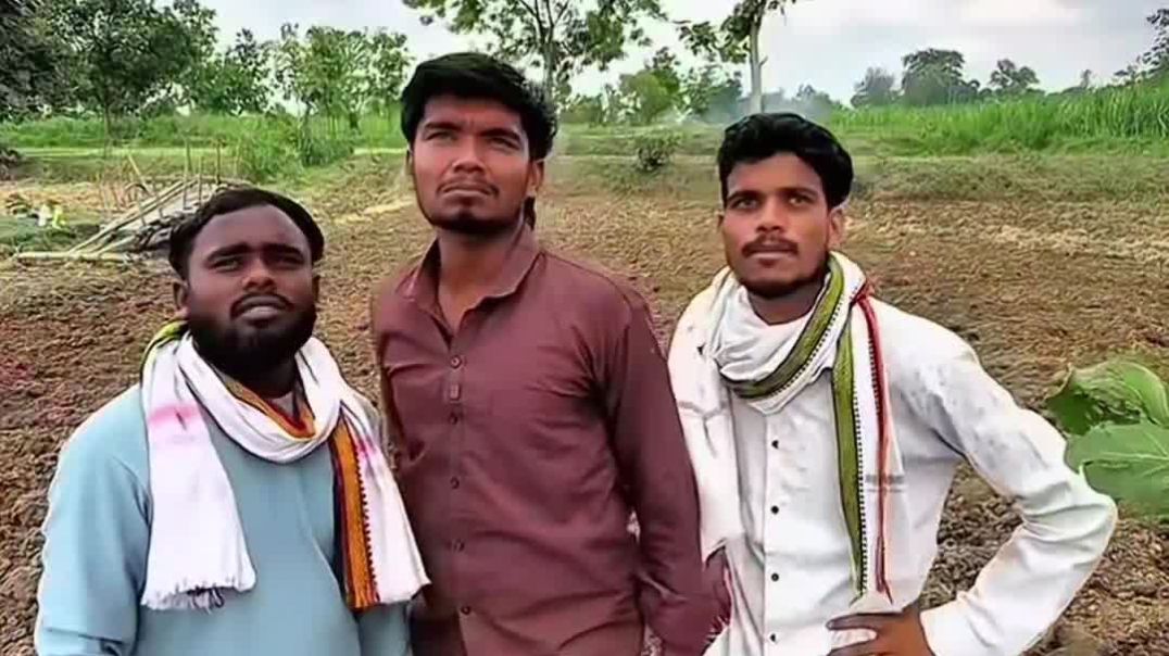 VID_20251219_202546_971