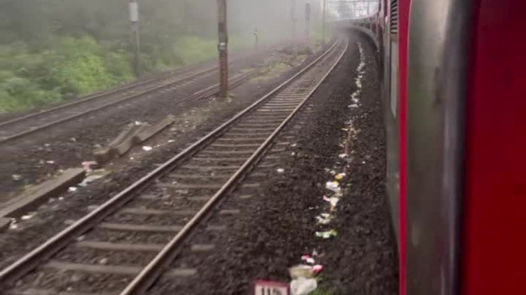 VID_20241229_050403_962