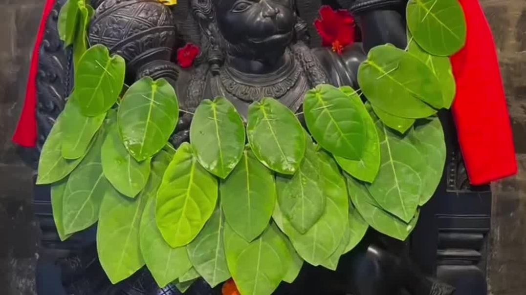 VID_20251201_195508_637