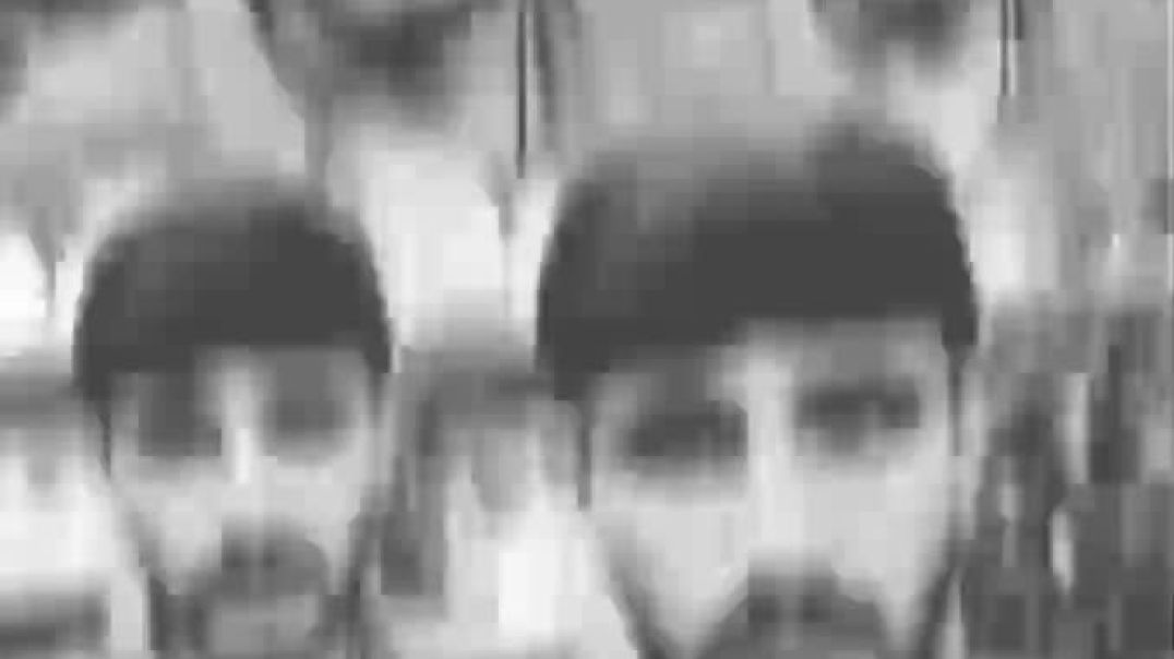 ⁣VID-20251117-WA0019