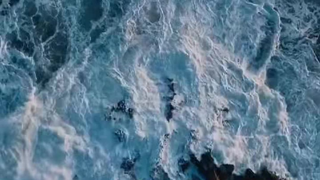 ⁣मानव के सामने समुंद्री सेना का सच