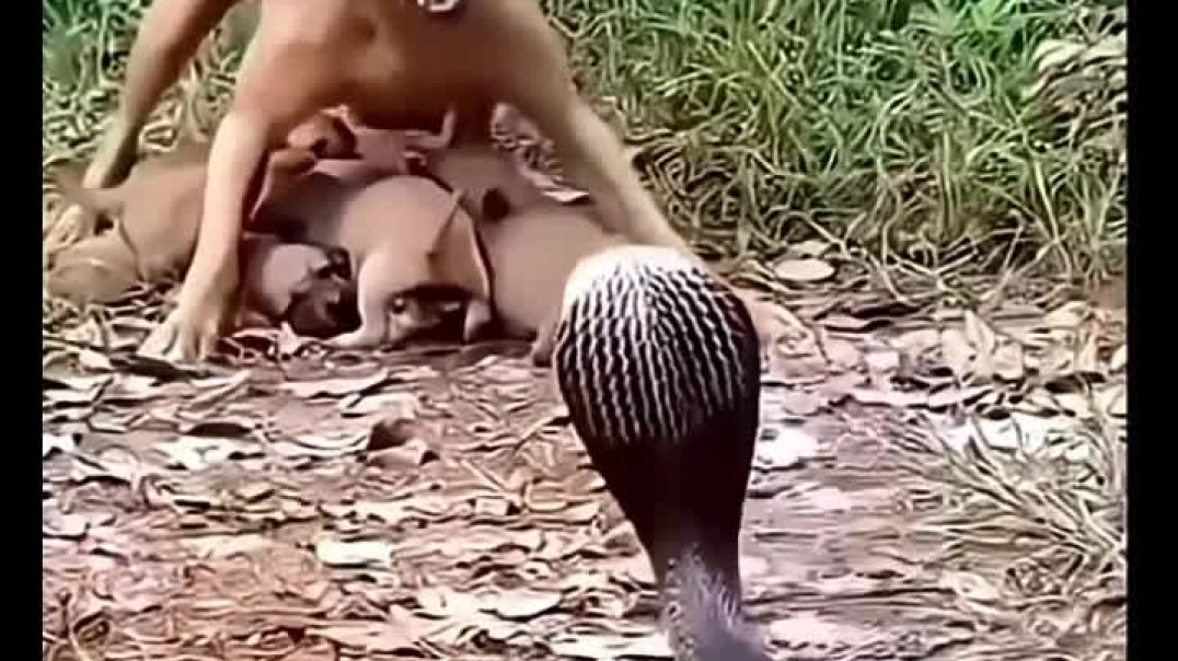 ⁣Ma तो माँ होती हैं