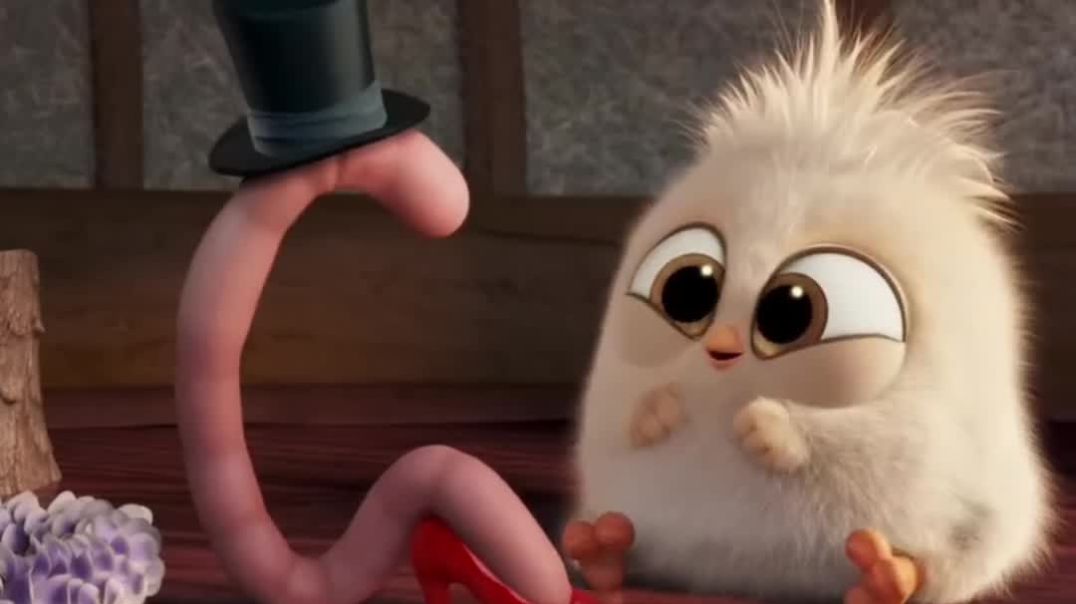 video_20251116_161234_edit