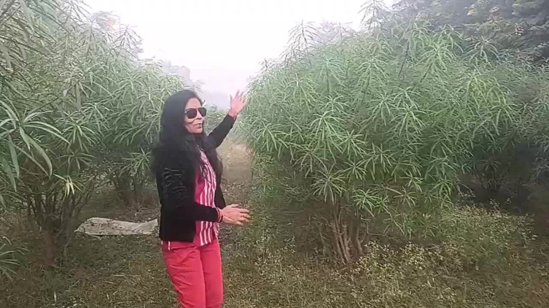 ⁣Ham_Teri_Mohabbat_mein(720p)