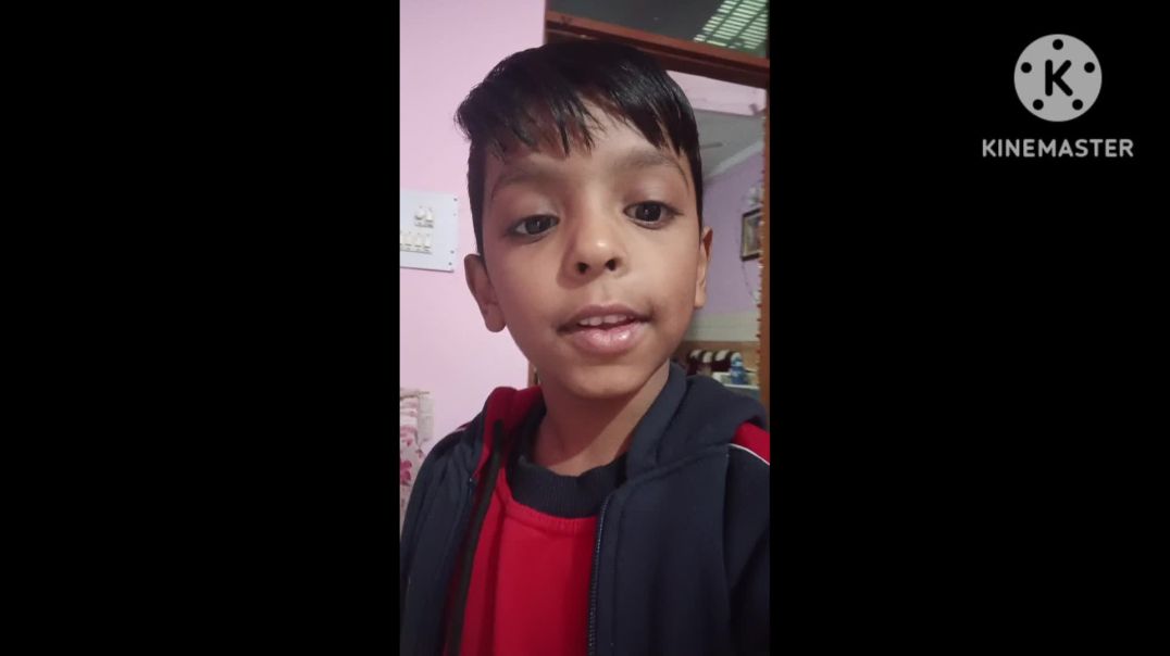 ⁣km_ Billi Ne yah gamle ke Sath Kya Kiya