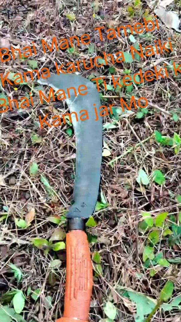 video_20251222_185803_edit