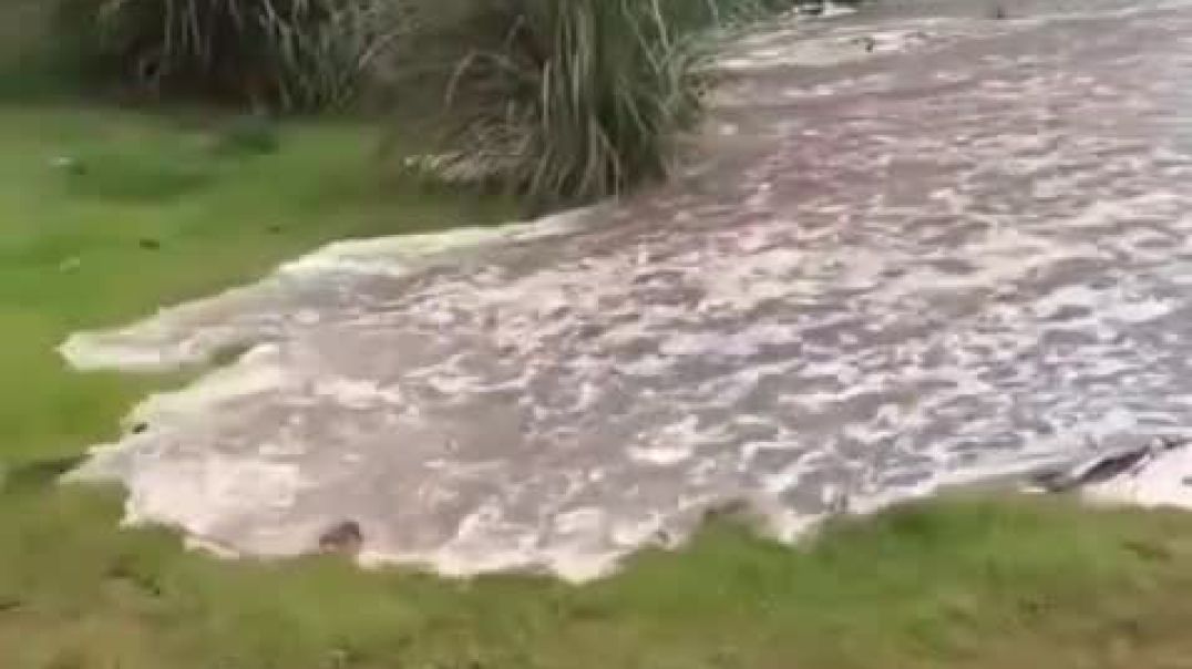 ⁣Ganga Maiya ka Pani hai 🏄🚣🏊🤽