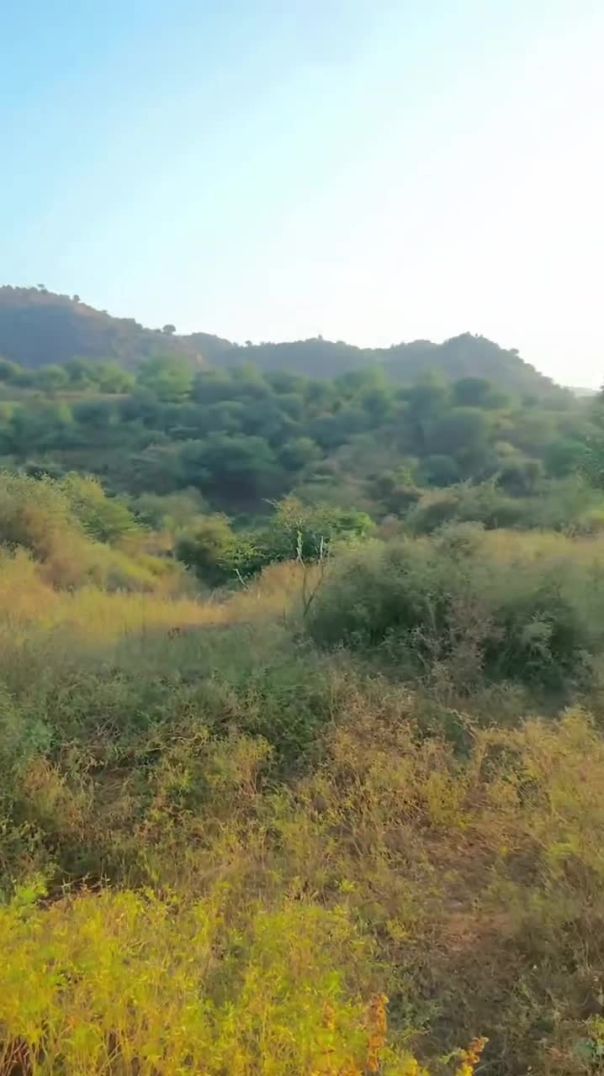 VID_20251230_063611_173