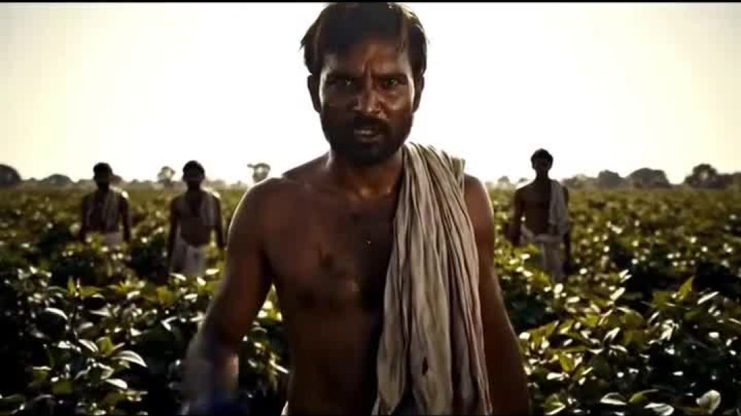 ⁣1859 indigo revot a fight for justice kumar DEV studio