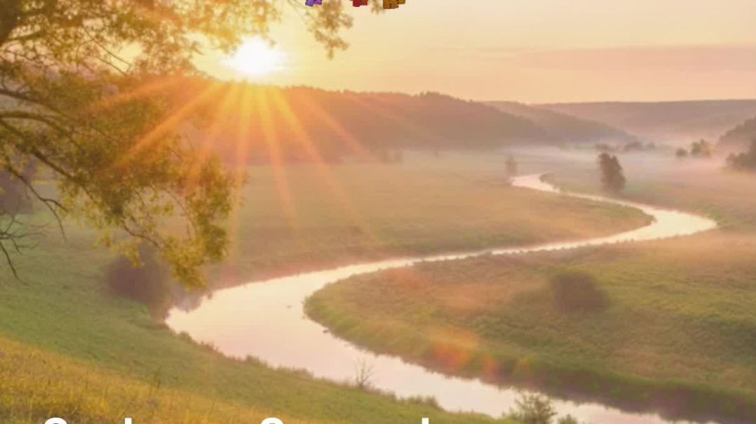 ⁣Sunbeam Serenade New Mobile Ringtone