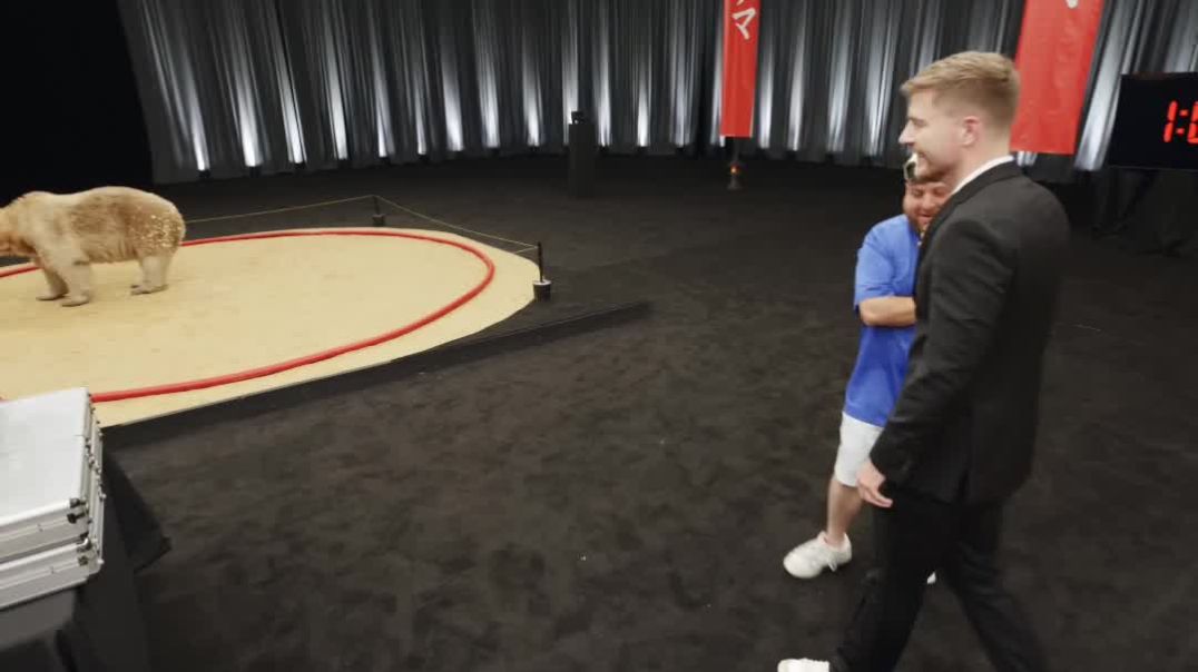 ⁣Wrestle Sumo Wrestler or Grizzly Bear_ $100,000 Decision!
