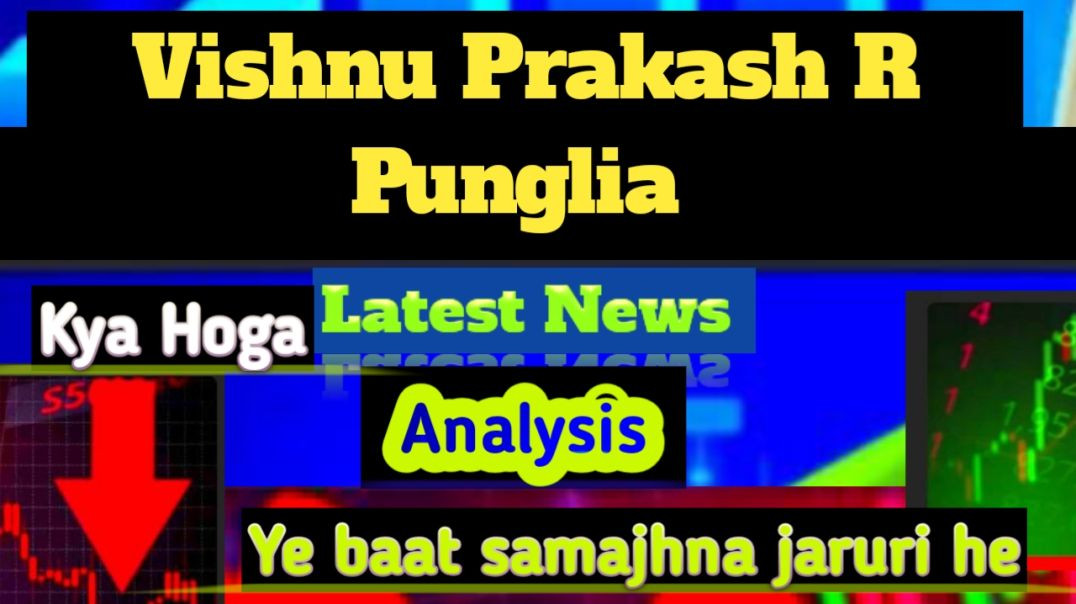 ⁣Vishnu Prakash R Punglia Share Price