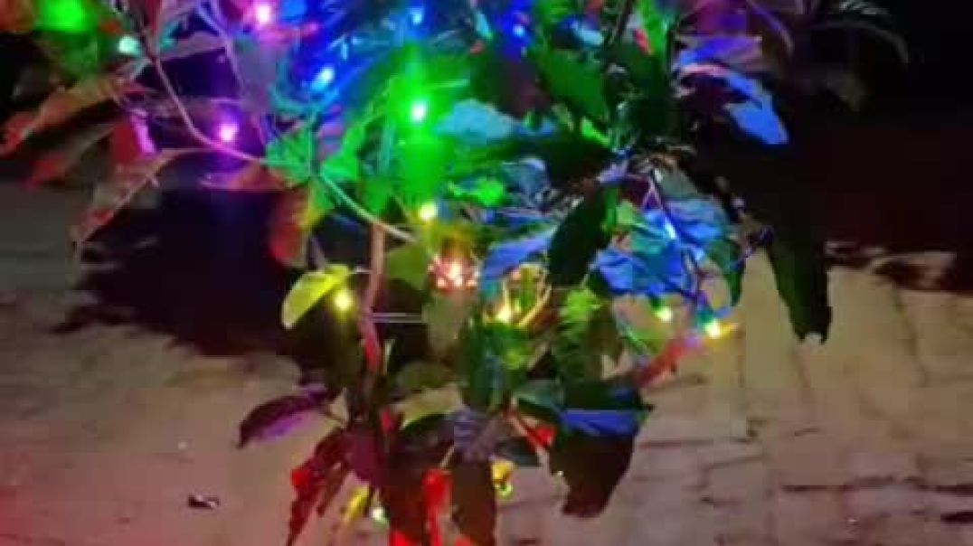 ⁣VID-20251021-WA0000