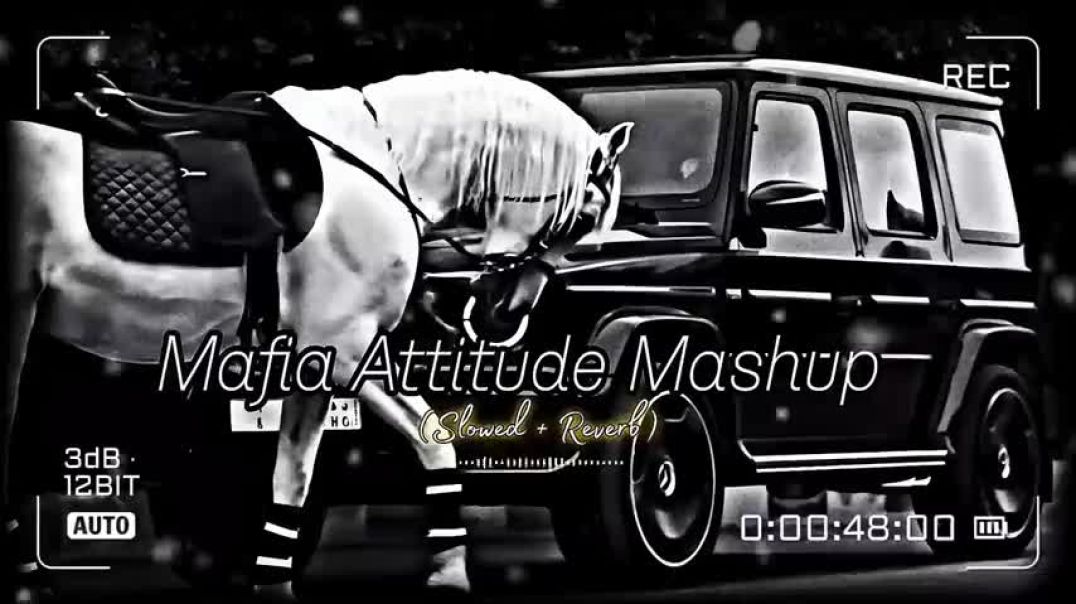 ⁣Gangster Hood😈🎵(Slowed+Reverb) Mashup | Sidhu Moose Wala🔥Shubh🔥Karan | The Gangsters Mashup 22:54