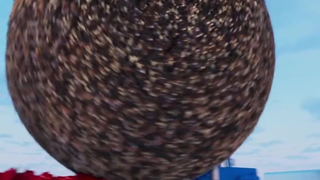 ⁣What if all human hair will cut ?