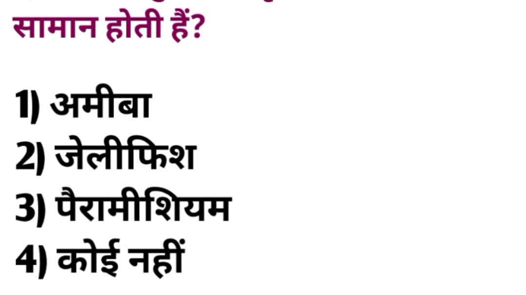 video_20251222_054625_edit