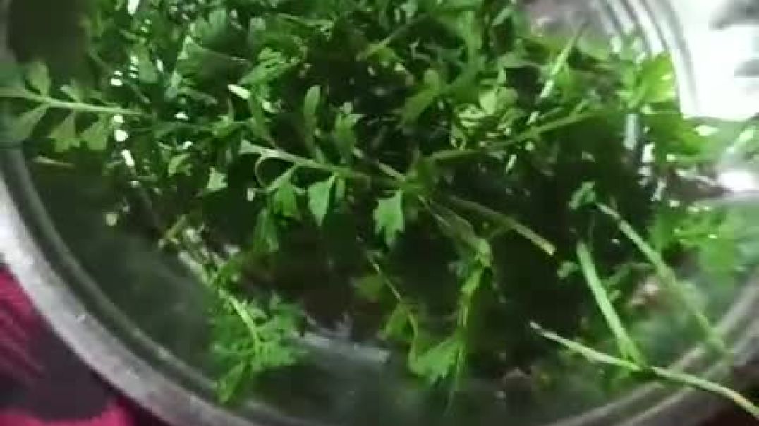 ⁣VID-20251209-WA0006