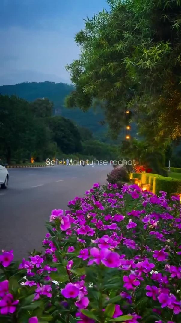 Tag someone 🥺💓 _