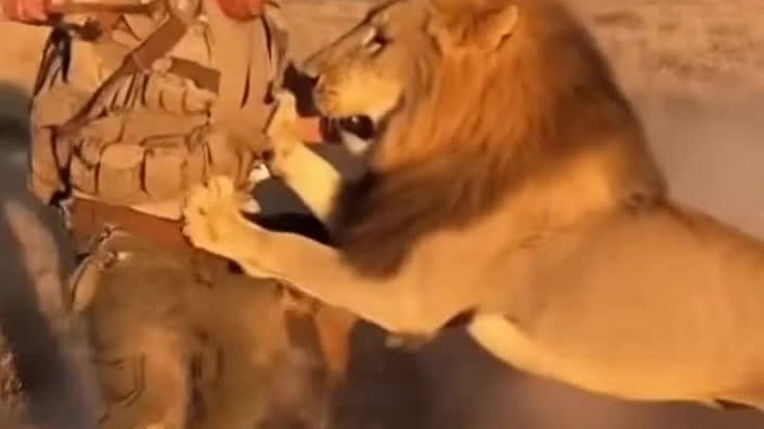 ⁣LION ATTACK ON MEN