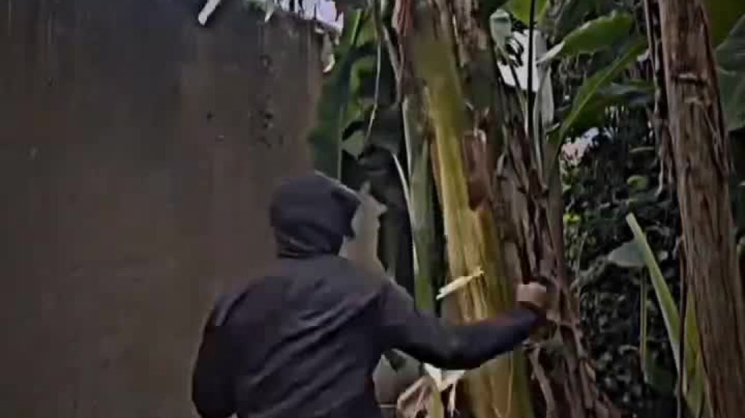 ⁣#trending#shorts#video