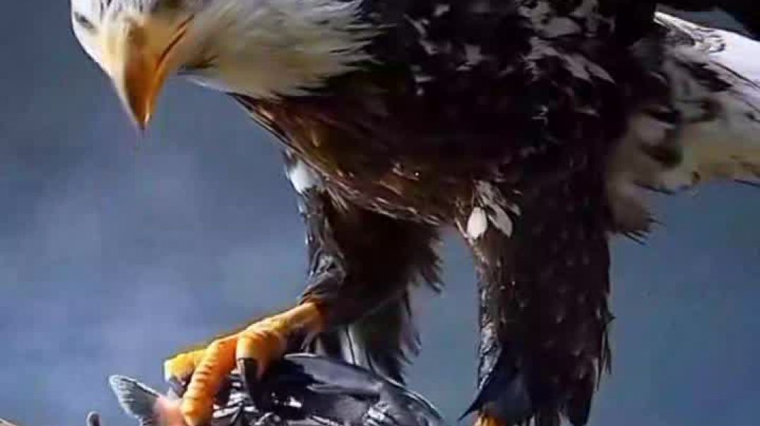 VID_20251214_214344_337