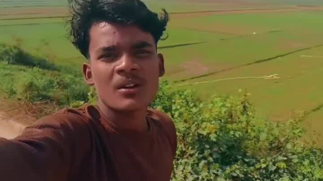 VID_20251205_183411_788