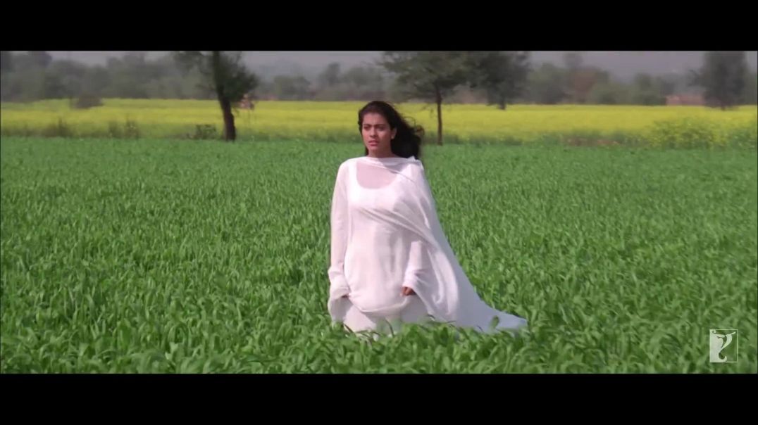 ⁣Tujhe dekha to ye Jana sanam