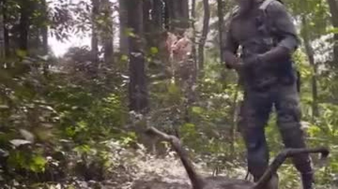 ⁣Apna tobe movies 🍿🍿