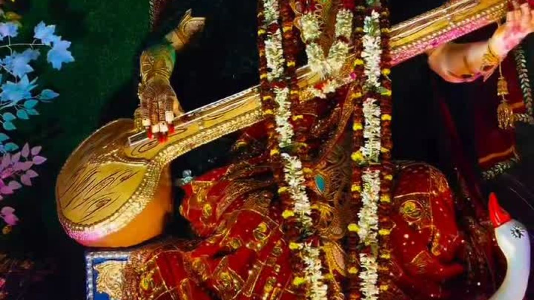 VID_20251215_165052_005