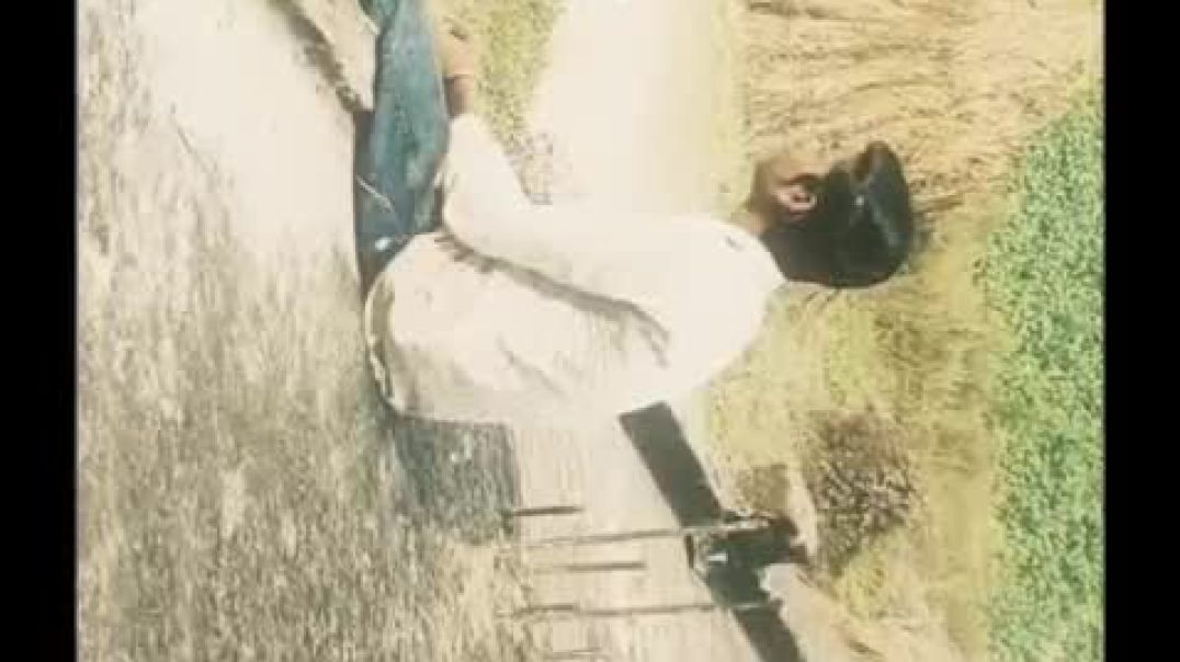 ⁣VID-20251201-WA0000