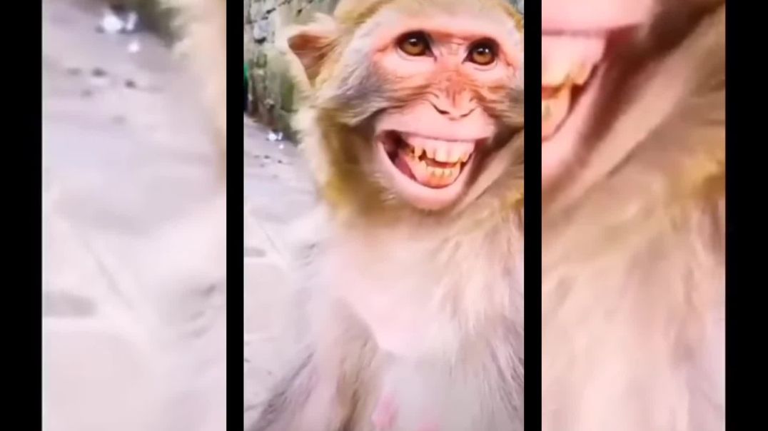 ⁣कोन हो तुम | 🫣😂 | #apnatube #comedy #funny