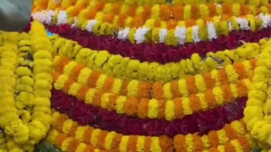 VID_20251208_061051_758