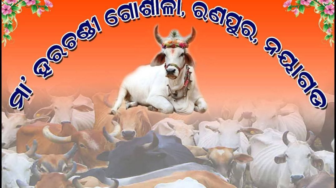 ⁣Jay go mata go rakshyaka//ଗୋ ମାତା 🙏🙏🙏