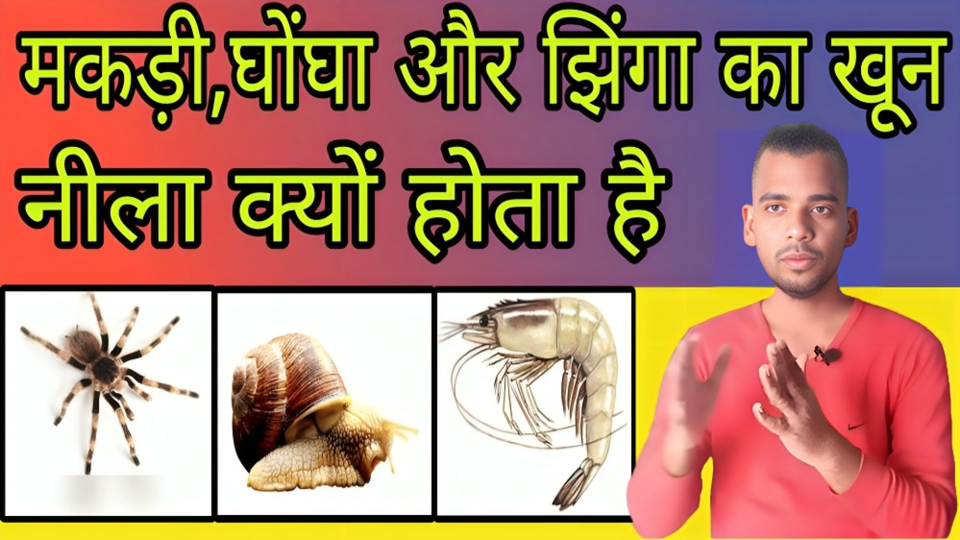 ⁣मकड़ी का ब्लड नीला क्यों होता है | Makdi | Spider | Ghongha | Jhinga | Blood | Blue | AC Prashant
