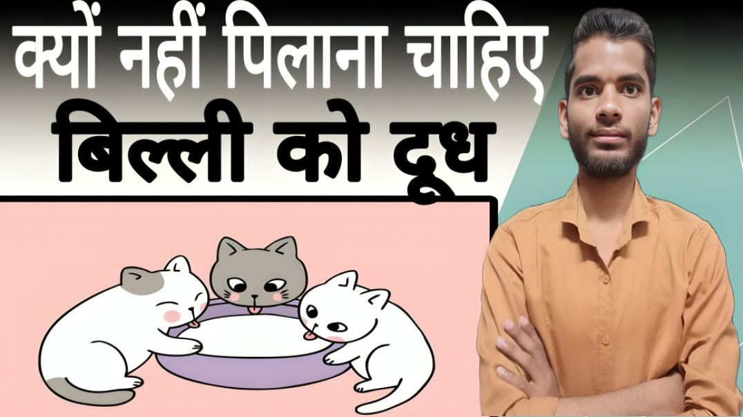 ⁣बिल्लियों को दूध क्यों नहीं पिलाना चाहिए | Cat | Drink | Milk | AC Prashant