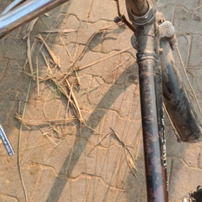 ZX__comady_315 ZX__comady_315