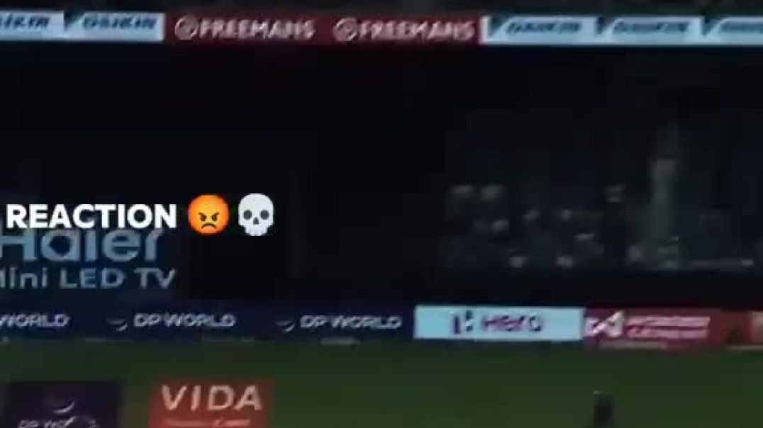 linda😯https___www