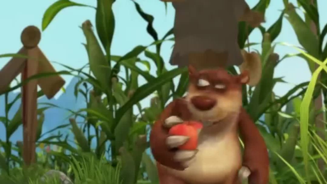 km_20251219_1080p_60f_20251220_031113