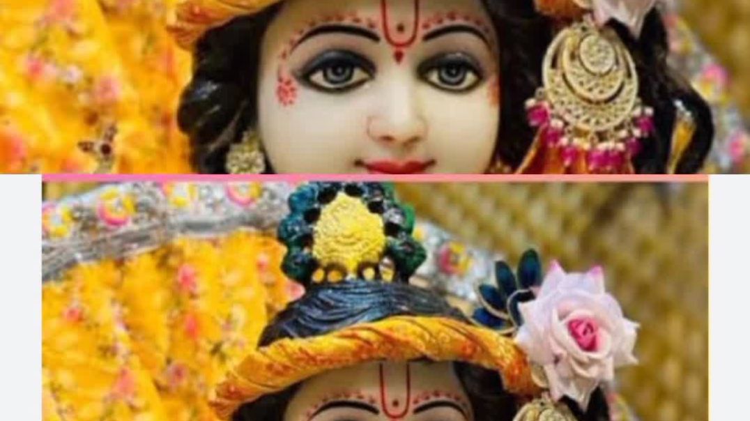 InShot_20241107_120907089