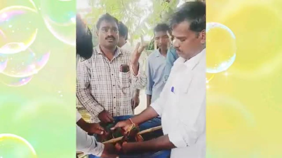 సప్త ధాన్యాల కాషాయం తయారీ విధానం traditional kashayam The saffron of the seven grains.